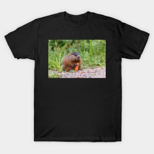 The Beaver feeding on a carrot T-Shirt